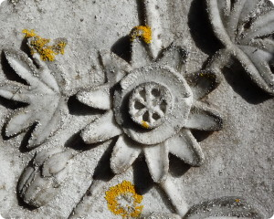Headstone detail | Karori Cemetery | Wellington