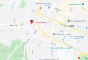 22 Palmer Street Map