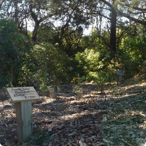 natural burial cemetery